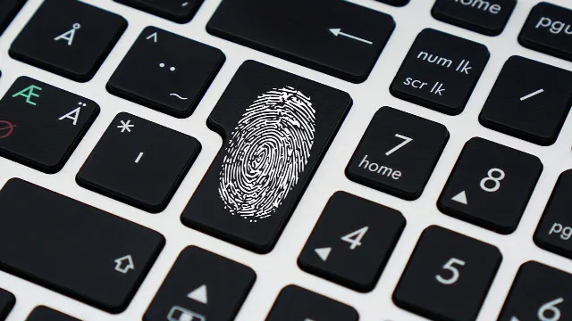 Photo theft! Pictures copied, what to do! Find stolen photos automatically – Tip
