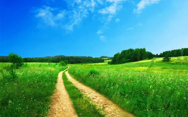 Sell agricultural land: Arable land, soil and other, agricultural land