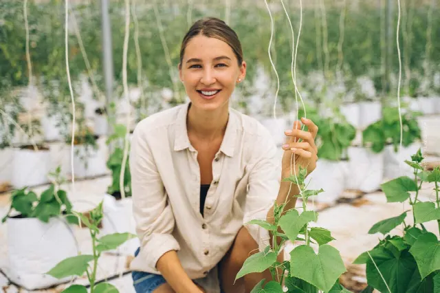 Solar greenhouses in Spain: Megaproject Organic Farming – Solution for the Planet?