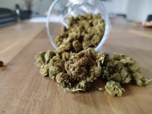 I Ordered Cannabis Online! #GameChanger – My Experience with CannaZen