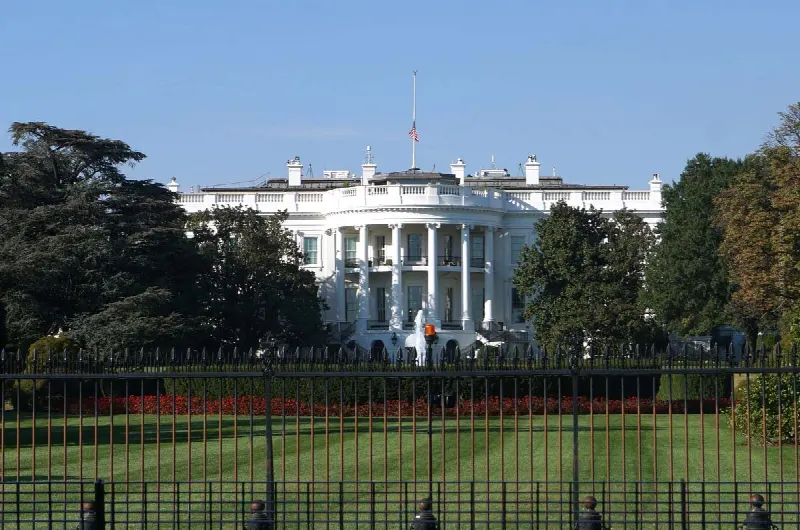 Trump only pays 750 Euro Income Tax!? How to, Tax Coaching + More