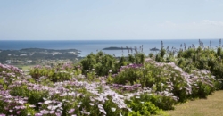Ibiza, Spain – Beautiful oasis high in the mountains of Santa Eulalia – Price on demand