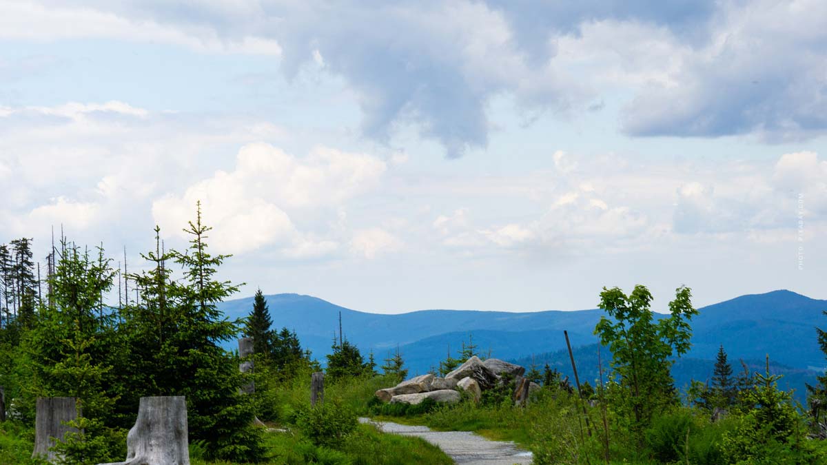 wald-waldgrundstueck-verkauf-berge-bayern-nutzwald-alpen-bodenbeschaffenheit-steine-kies-wasserqualitat